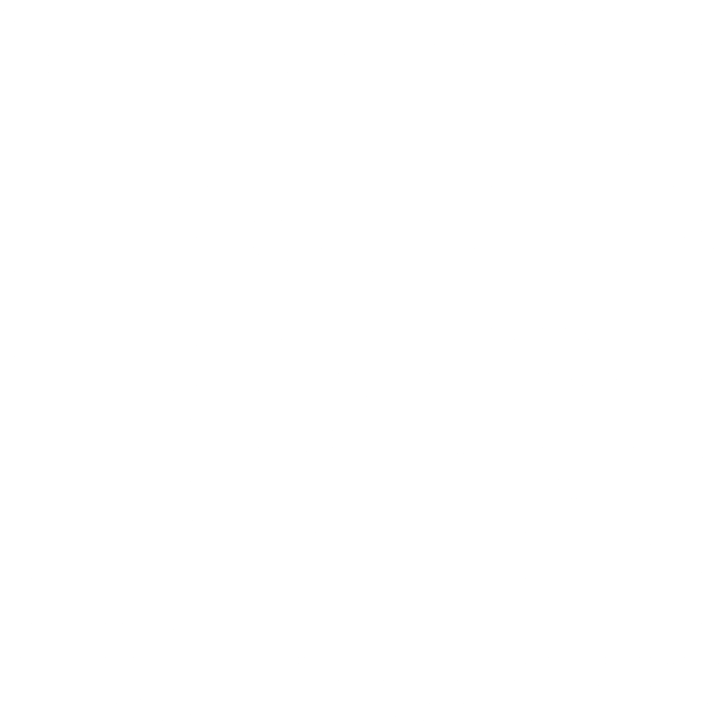 Neteller payment icon